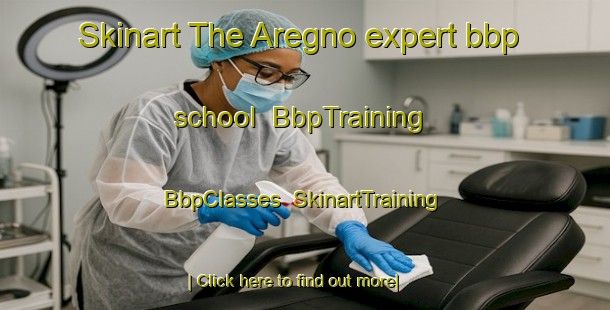 Skinart The Aregno expert bbp school | BbpTraining | BbpClasses | SkinartTraining-France