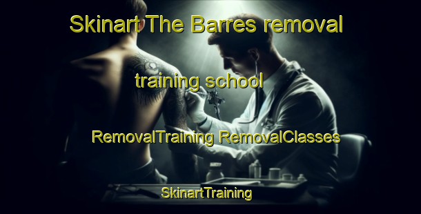 Skinart The Barres removal training school | #RemovalTraining #RemovalClasses #SkinartTraining-France