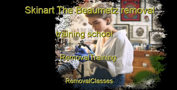 Skinart The Beaumetz removal training school | RemovalTraining | RemovalClasses | SkinartTraining-France
