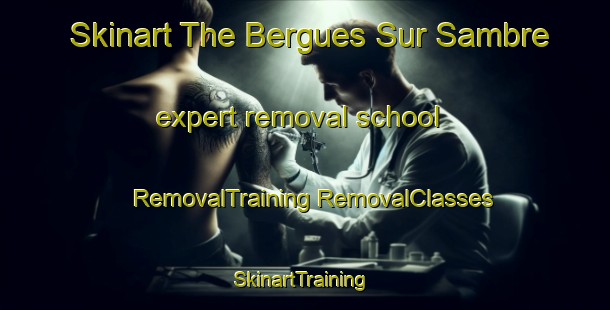 Skinart The Bergues Sur Sambre expert removal school | #RemovalTraining #RemovalClasses #SkinartTraining-France