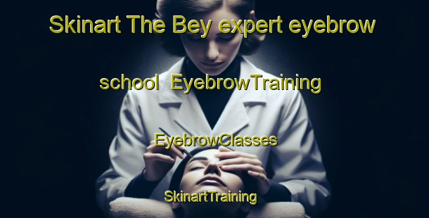 Skinart The Bey expert eyebrow school | EyebrowTraining | EyebrowClasses | SkinartTraining-France