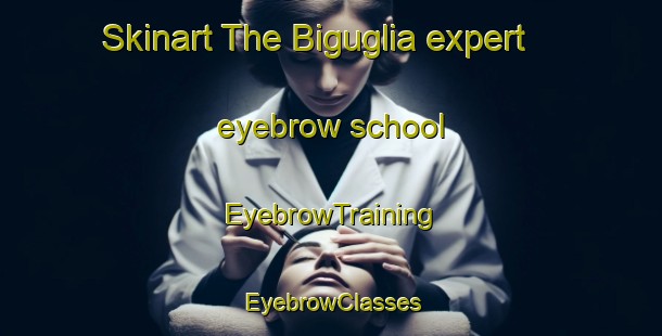Skinart The Biguglia expert eyebrow school | EyebrowTraining | EyebrowClasses | SkinartTraining-France