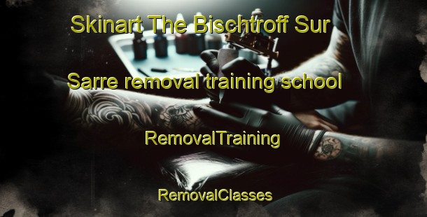 Skinart The Bischtroff Sur Sarre removal training school | RemovalTraining | RemovalClasses | SkinartTraining-France