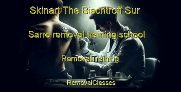 Skinart The Bischtroff Sur Sarre removal training school | RemovalTraining | RemovalClasses | SkinartTraining-France