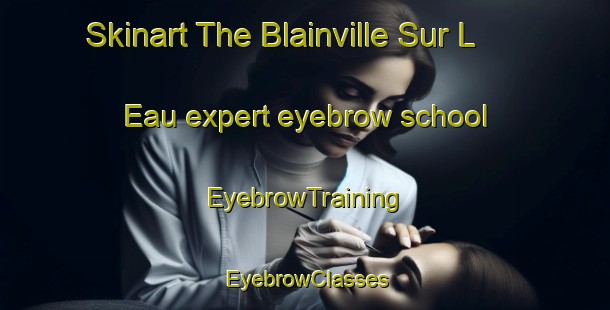 Skinart The Blainville Sur L Eau expert eyebrow school | EyebrowTraining | EyebrowClasses | SkinartTraining-France