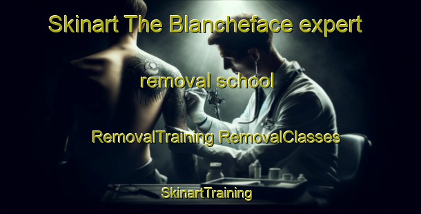 Skinart The Blancheface expert removal school | #RemovalTraining #RemovalClasses #SkinartTraining-France