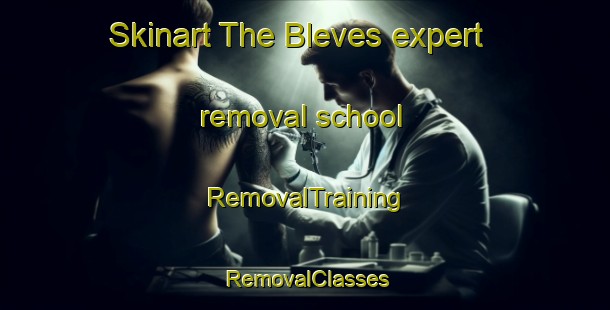 Skinart The Bleves expert removal school | RemovalTraining | RemovalClasses | SkinartTraining-France