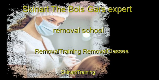 Skinart The Bois Gars expert removal school | #RemovalTraining #RemovalClasses #SkinartTraining-France