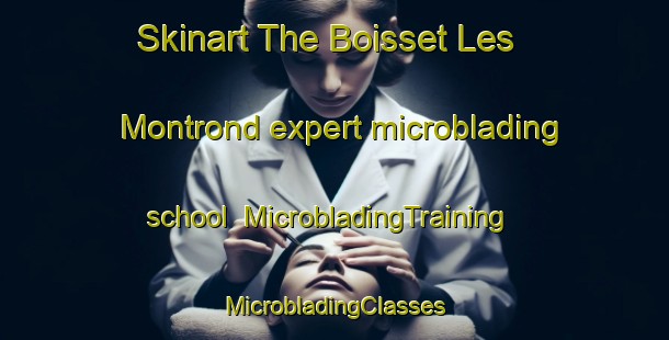 Skinart The Boisset Les Montrond expert microblading school | #MicrobladingTraining #MicrobladingClasses #SkinartTraining-France