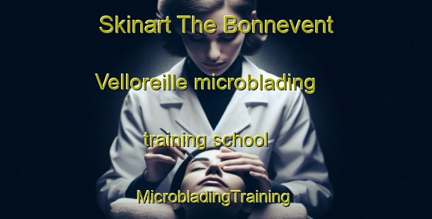 Skinart The Bonnevent Velloreille microblading training school | #MicrobladingTraining #MicrobladingClasses #SkinartTraining-France