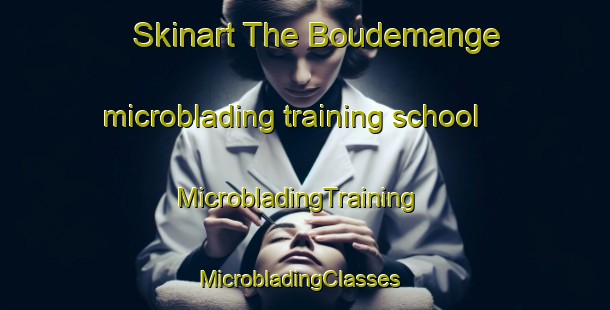 Skinart The Boudemange microblading training school | MicrobladingTraining | MicrobladingClasses | SkinartTraining-France