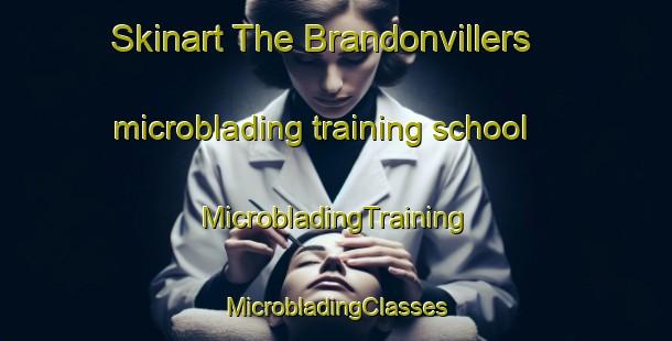 Skinart The Brandonvillers microblading training school | #MicrobladingTraining #MicrobladingClasses #SkinartTraining-France