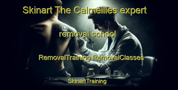 Skinart The Calmeilles expert removal school | #RemovalTraining #RemovalClasses #SkinartTraining-France