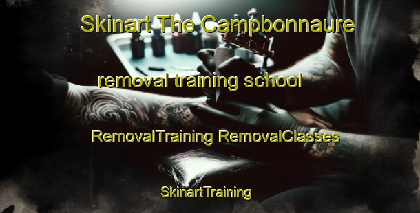 Skinart The Campbonnaure removal training school | #RemovalTraining #RemovalClasses #SkinartTraining-France