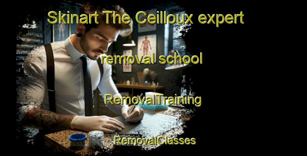 Skinart The Ceilloux expert removal school | RemovalTraining | RemovalClasses | SkinartTraining-France