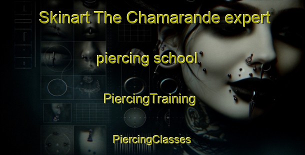 Skinart The Chamarande expert piercing school | #PiercingTraining #PiercingClasses #SkinartTraining-France