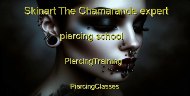 Skinart The Chamarande expert piercing school | #PiercingTraining #PiercingClasses #SkinartTraining-France