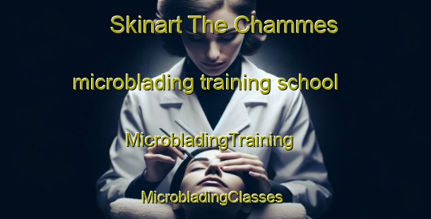 Skinart The Chammes microblading training school | MicrobladingTraining | MicrobladingClasses | SkinartTraining-France