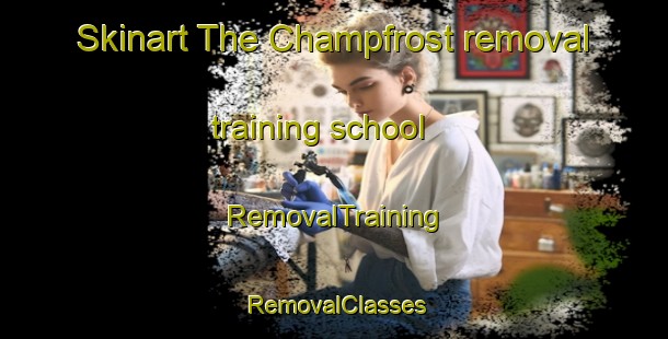 Skinart The Champfrost removal training school | RemovalTraining | RemovalClasses | SkinartTraining-France