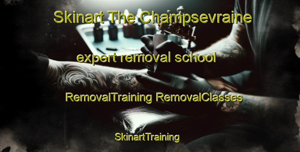 Skinart The Champsevraine expert removal school | #RemovalTraining #RemovalClasses #SkinartTraining-France