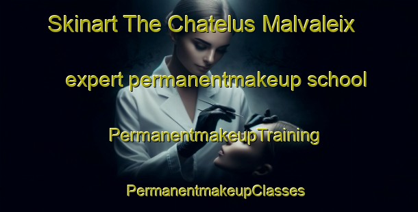 Skinart The Chatelus Malvaleix expert permanentmakeup school | PermanentmakeupTraining | PermanentmakeupClasses | SkinartTraining-France