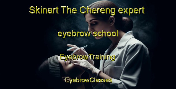 Skinart The Chereng expert eyebrow school | EyebrowTraining | EyebrowClasses | SkinartTraining-France