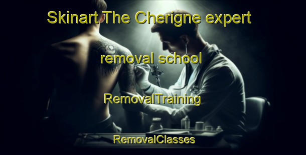 Skinart The Cherigne expert removal school | RemovalTraining | RemovalClasses | SkinartTraining-France