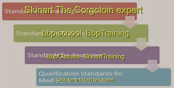Skinart The Corgoloin expert bbp school | BbpTraining | BbpClasses | SkinartTraining-France