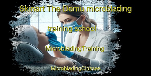 Skinart The Demu microblading training school | #MicrobladingTraining #MicrobladingClasses #SkinartTraining-France