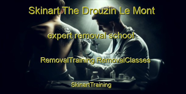 Skinart The Drouzin Le Mont expert removal school | #RemovalTraining #RemovalClasses #SkinartTraining-France