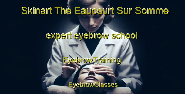 Skinart The Eaucourt Sur Somme expert eyebrow school | EyebrowTraining | EyebrowClasses | SkinartTraining-France