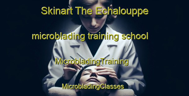 Skinart The Echalouppe microblading training school | MicrobladingTraining | MicrobladingClasses | SkinartTraining-France