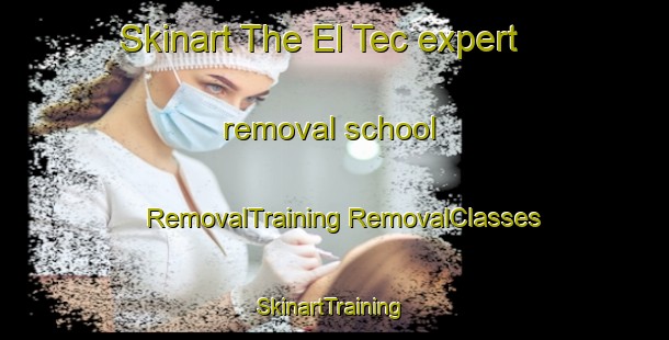 Skinart The El Tec expert removal school | #RemovalTraining #RemovalClasses #SkinartTraining-France