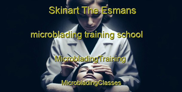 Skinart The Esmans microblading training school | #MicrobladingTraining #MicrobladingClasses #SkinartTraining-France