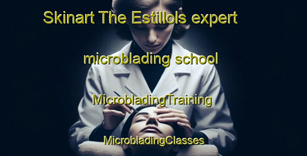 Skinart The Estillols expert microblading school | #MicrobladingTraining #MicrobladingClasses #SkinartTraining-France