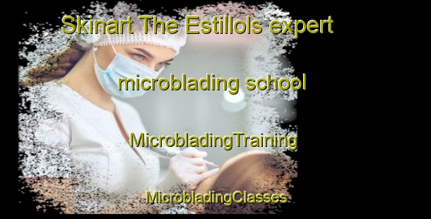 Skinart The Estillols expert microblading school | #MicrobladingTraining #MicrobladingClasses #SkinartTraining-France