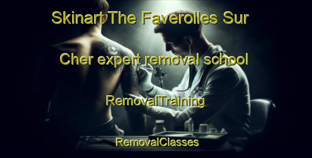 Skinart The Faverolles Sur Cher expert removal school | RemovalTraining | RemovalClasses | SkinartTraining-France