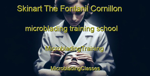 Skinart The Fontanil Cornillon microblading training school | #MicrobladingTraining #MicrobladingClasses #SkinartTraining-France