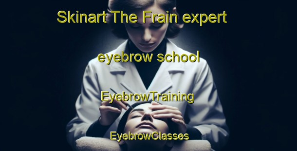 Skinart The Frain expert eyebrow school | EyebrowTraining | EyebrowClasses | SkinartTraining-France