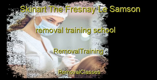 Skinart The Fresnay Le Samson removal training school | RemovalTraining | RemovalClasses | SkinartTraining-France