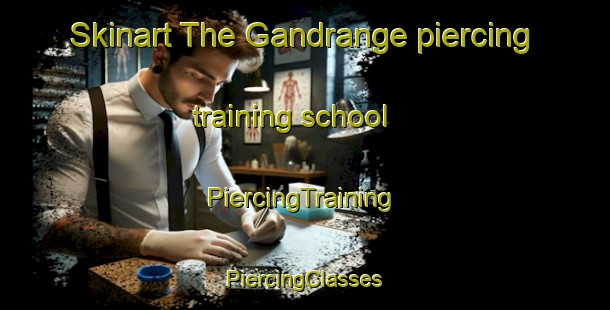 Skinart The Gandrange piercing training school | #PiercingTraining #PiercingClasses #SkinartTraining-France