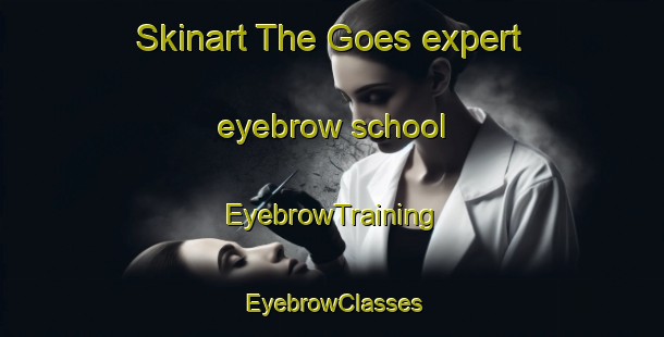 Skinart The Goes expert eyebrow school | EyebrowTraining | EyebrowClasses | SkinartTraining-France