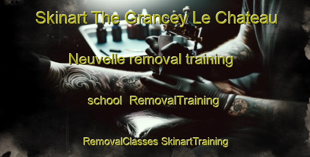 Skinart The Grancey Le Chateau Neuvelle removal training school | #RemovalTraining #RemovalClasses #SkinartTraining-France