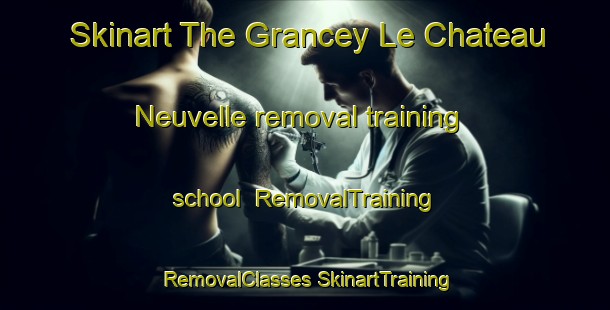 Skinart The Grancey Le Chateau Neuvelle removal training school | #RemovalTraining #RemovalClasses #SkinartTraining-France