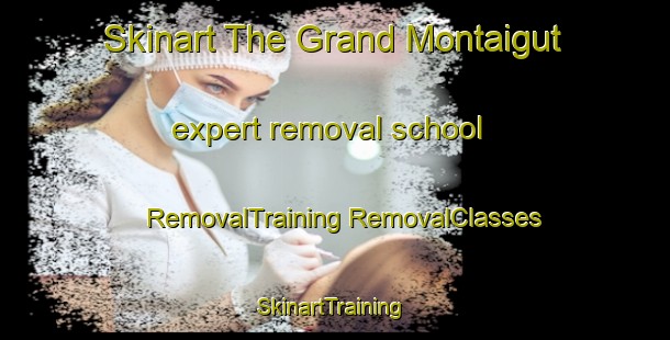 Skinart The Grand Montaigut expert removal school | #RemovalTraining #RemovalClasses #SkinartTraining-France