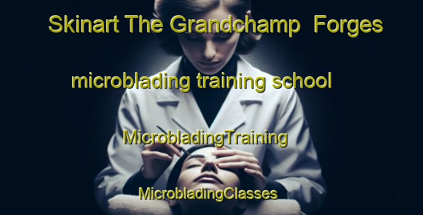 Skinart The Grandchamp  Forges microblading training school | MicrobladingTraining | MicrobladingClasses | SkinartTraining-France
