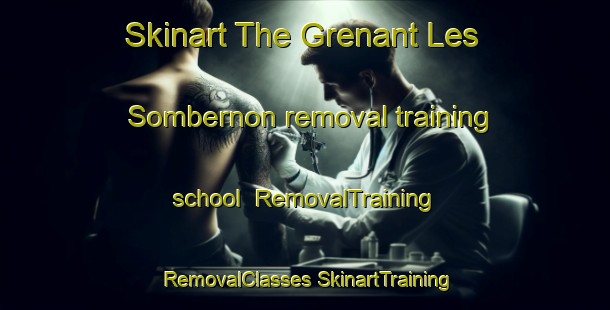 Skinart The Grenant Les Sombernon removal training school | #RemovalTraining #RemovalClasses #SkinartTraining-France