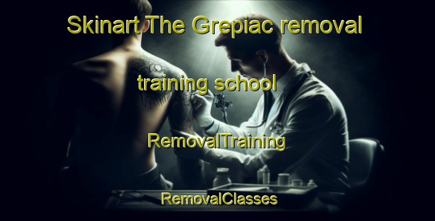 Skinart The Grepiac removal training school | RemovalTraining | RemovalClasses | SkinartTraining-France