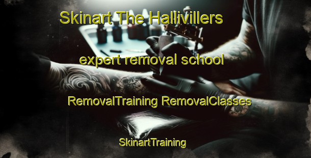 Skinart The Hallivillers expert removal school | #RemovalTraining #RemovalClasses #SkinartTraining-France