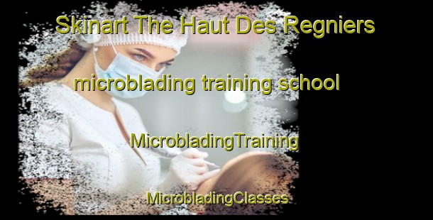 Skinart The Haut Des Regniers microblading training school | #MicrobladingTraining #MicrobladingClasses #SkinartTraining-France